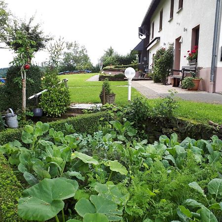 Ferienwohnung Huegelhaus Plütscheid Zewnętrze zdjęcie