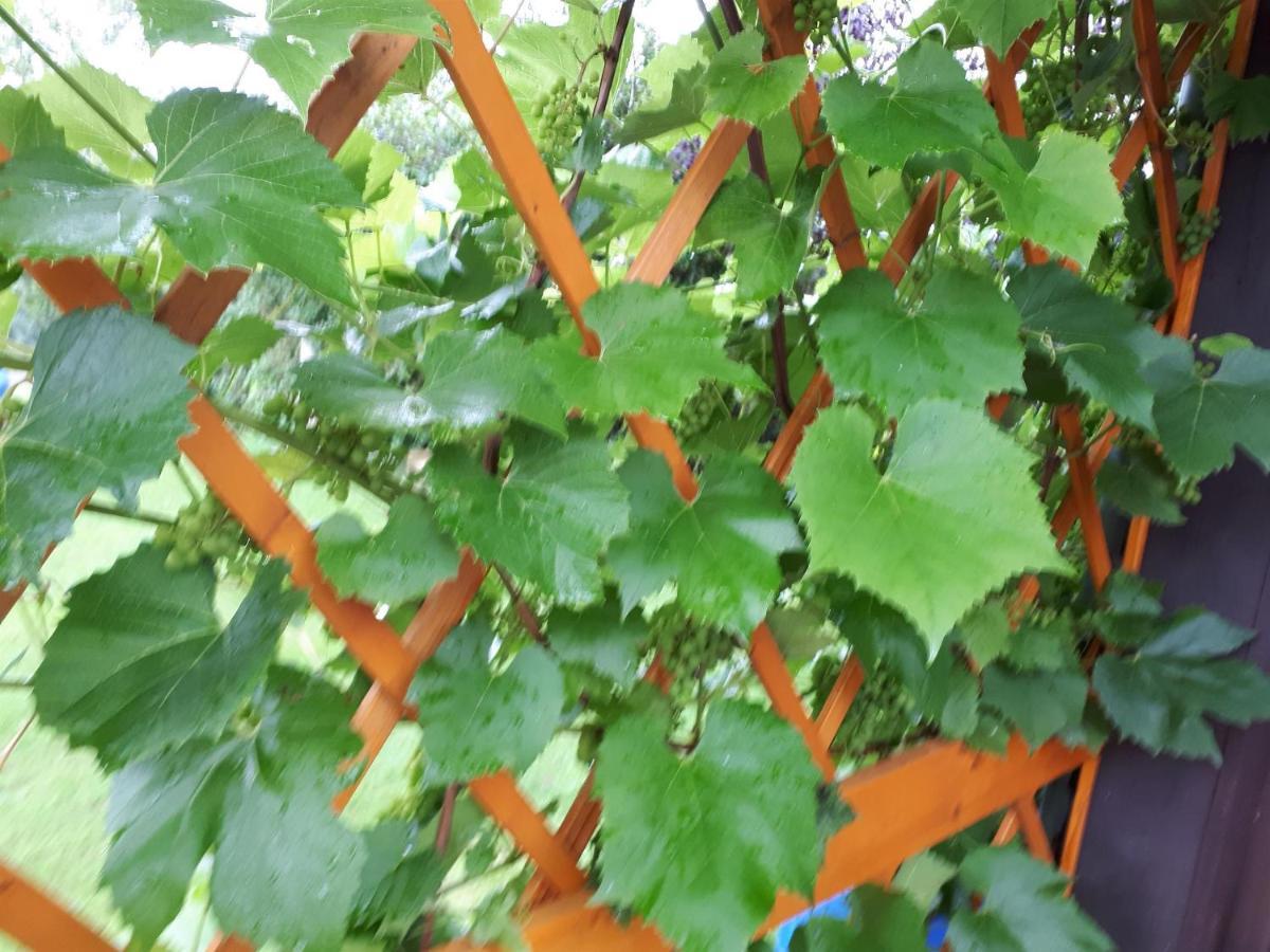Ferienwohnung Huegelhaus Plütscheid Zewnętrze zdjęcie